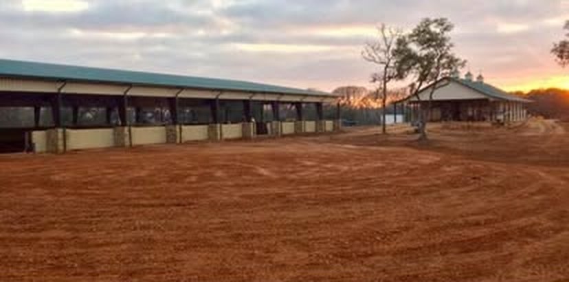 Before: freshly regraded red dirt beside the barn and covered arena