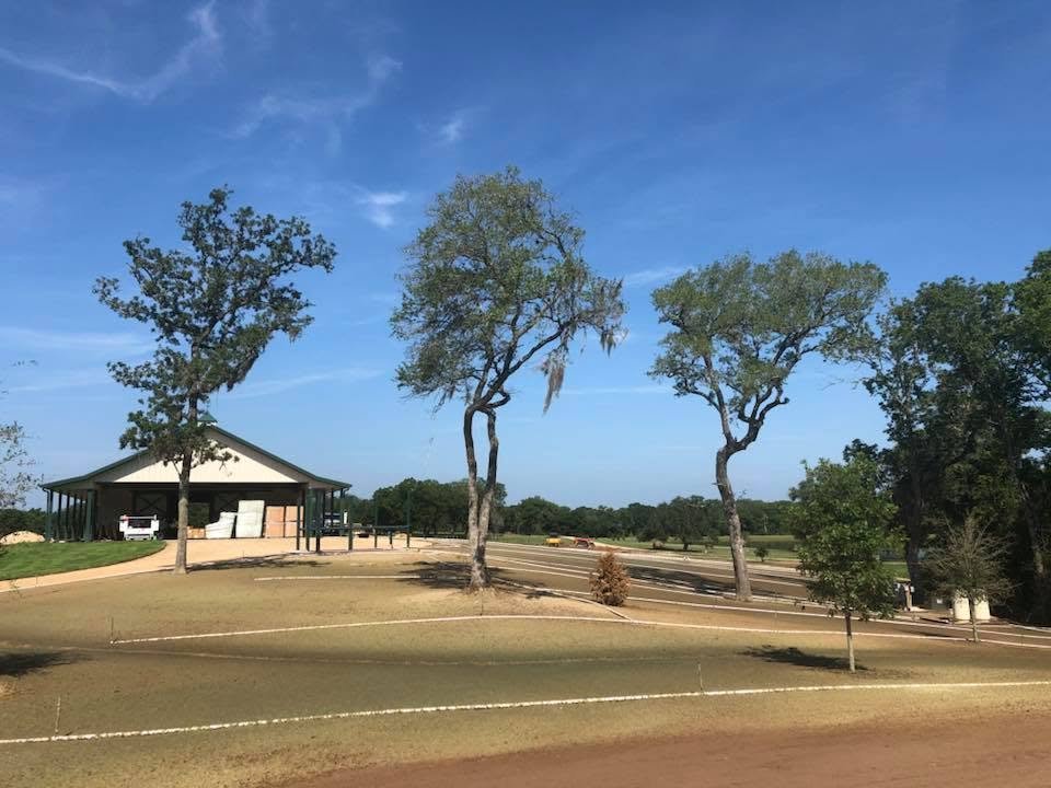 Regraded pastures under old oak trees with the barn beyond